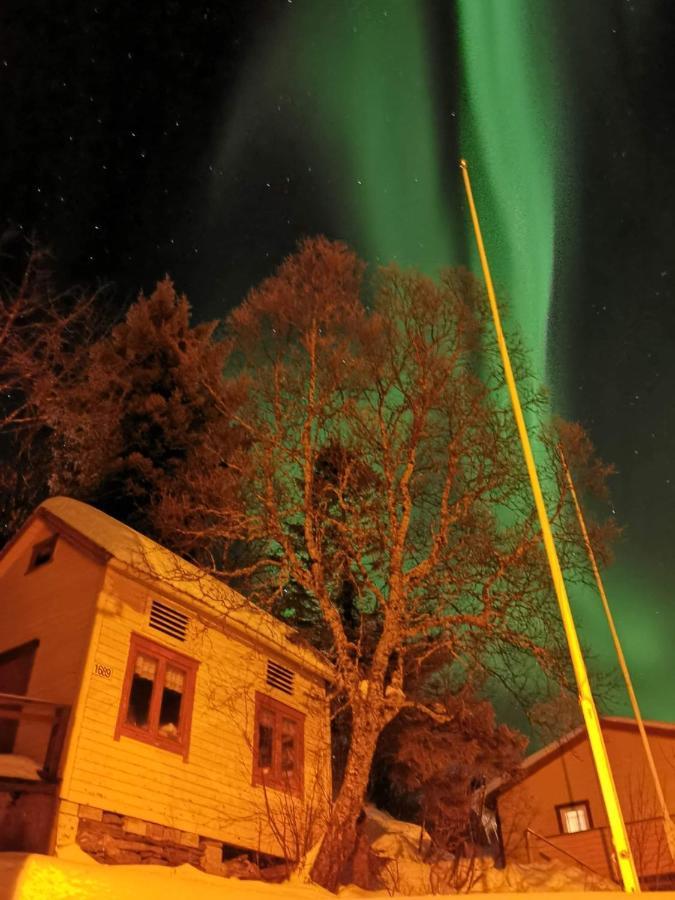 Villa Senja Skaland Melkarhola Exterior foto